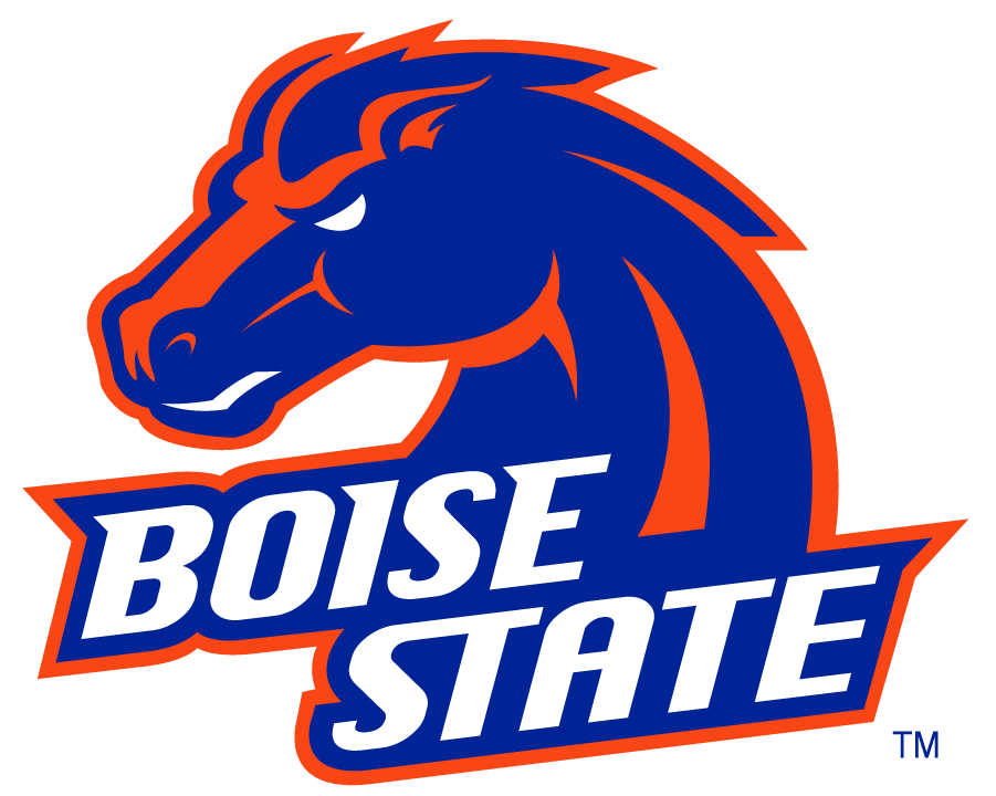 Boise State Broncos 2002-2012 Alternate Logo v2 diy DTF decal sticker